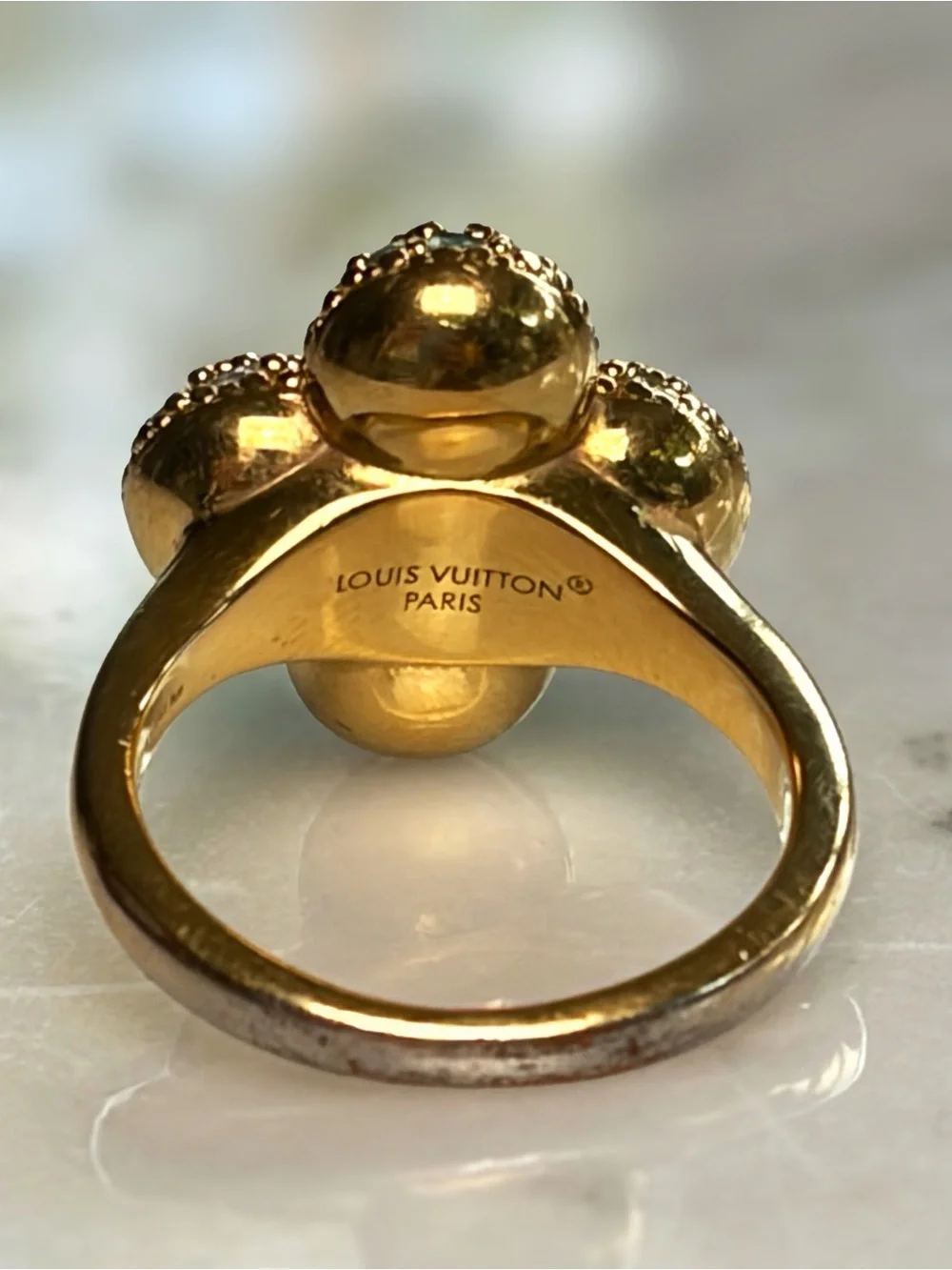 Louis Vuitton luxurious louis